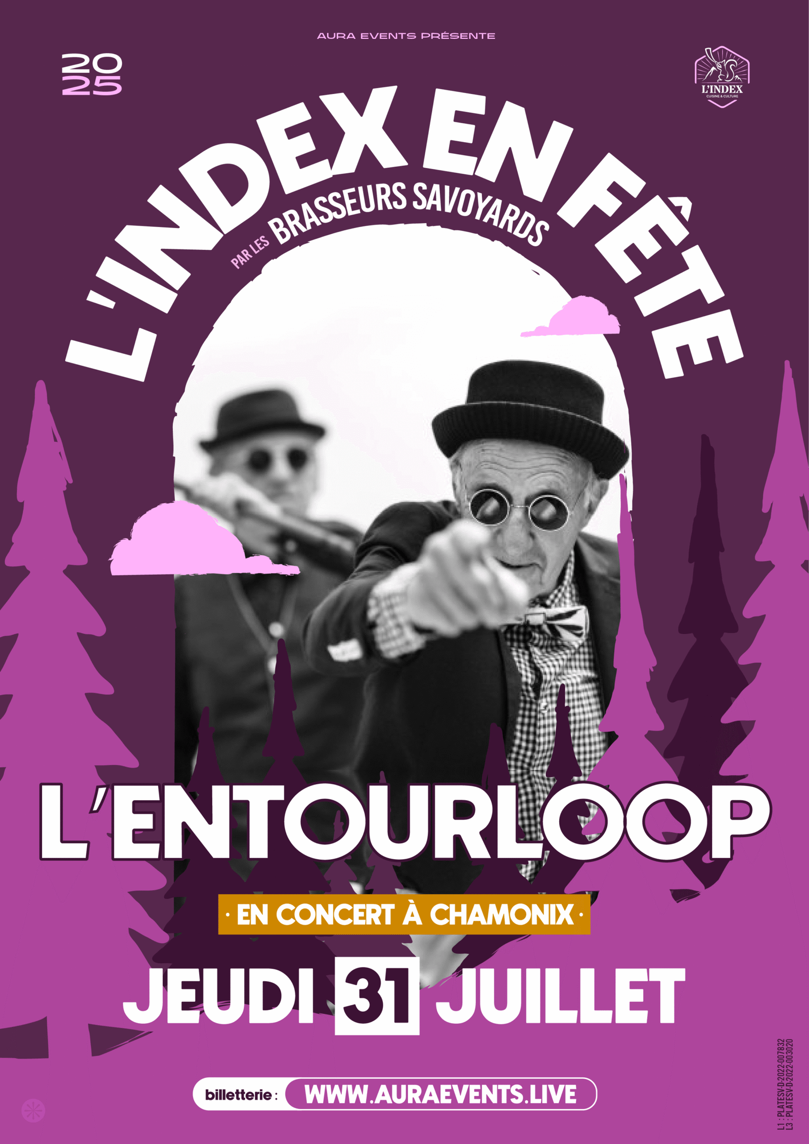 COMM-IEF25-ARTISTES_ENTOURLOOP Maxime LE FORESTIER - En concert à Chamonix !